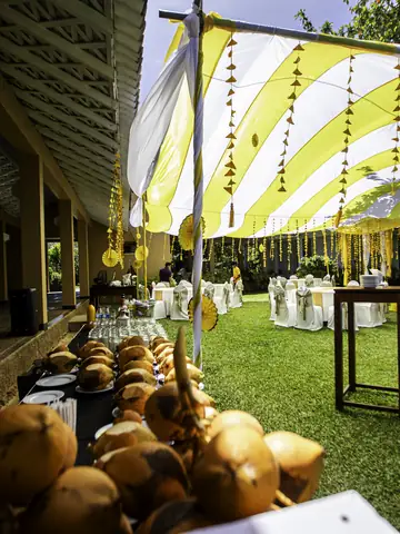 Outdoor celebration set up with yellow and white drapes on a lawn