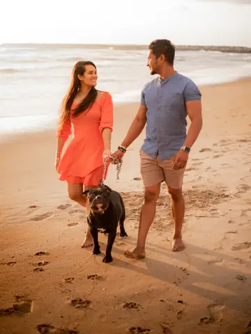 Couple walking their dog along the beach at golden hour